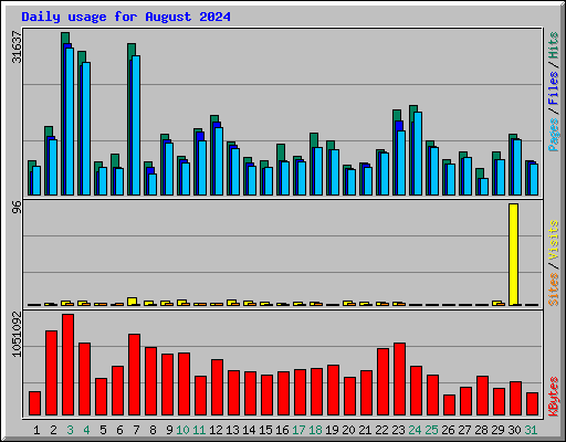 Daily usage for August 2024