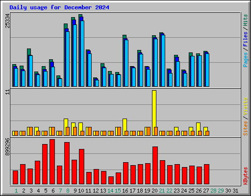 Daily usage for December 2024