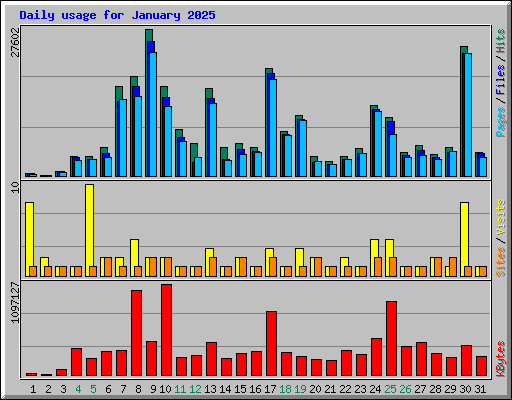 Daily usage for January 2025