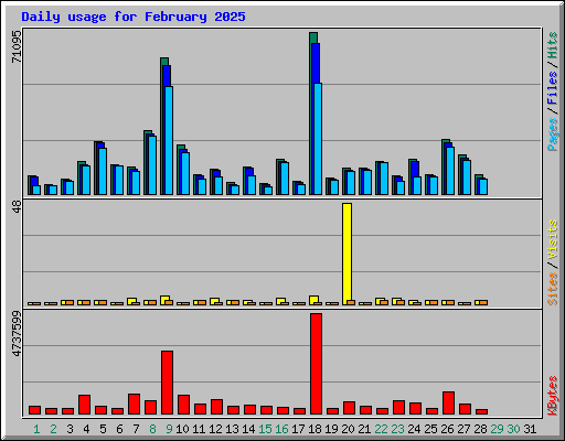 Daily usage for February 2025