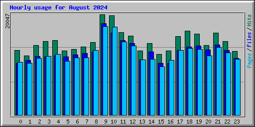 Hourly usage for August 2024