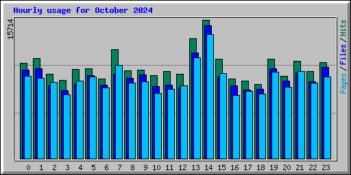 Hourly usage for October 2024