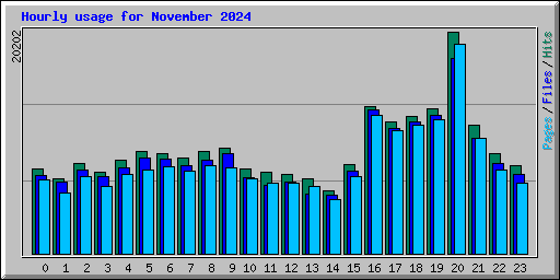 Hourly usage for November 2024