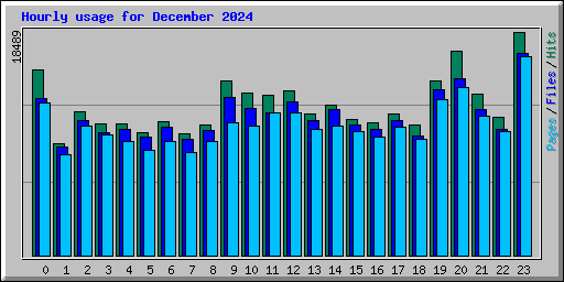 Hourly usage for December 2024