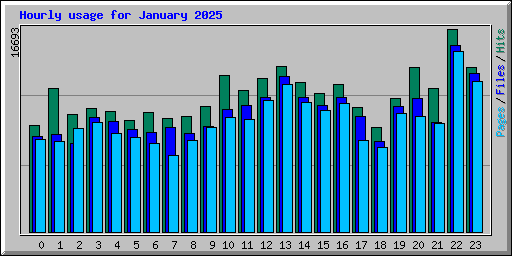 Hourly usage for January 2025