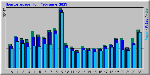 Hourly usage for February 2025