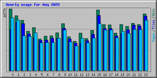 Hourly usage for May 2025