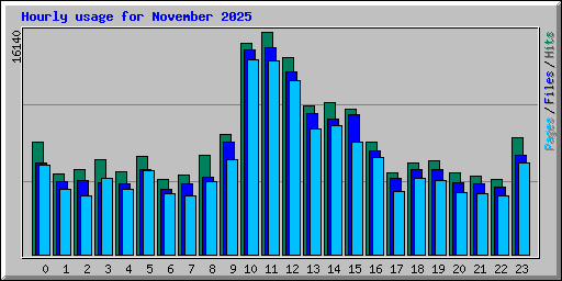 Hourly usage for November 2025