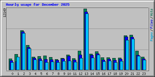 Hourly usage for December 2025