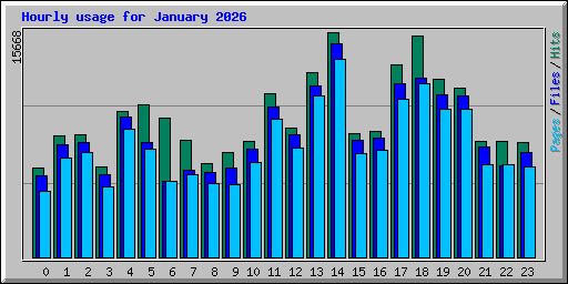 Hourly usage for January 2026