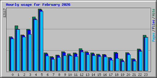 Hourly usage for February 2026