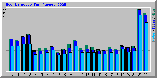 Hourly usage for August 2026